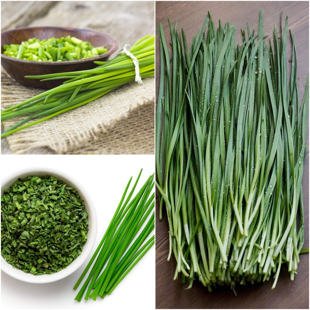 Chives Seeds