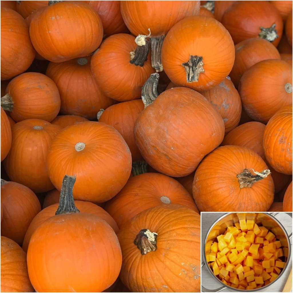 Pumpkin Small Sugar - Seeds