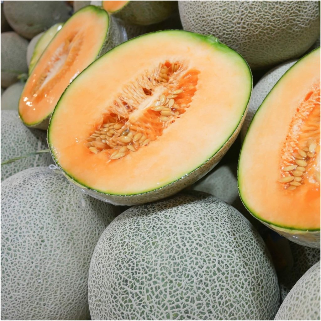 Rockmelon Hales Jumbo - Seeds