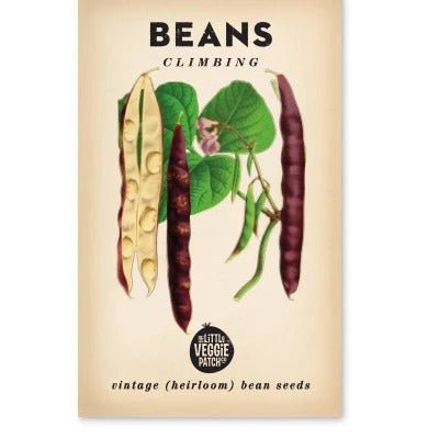 Bean Seeds- Scarlett