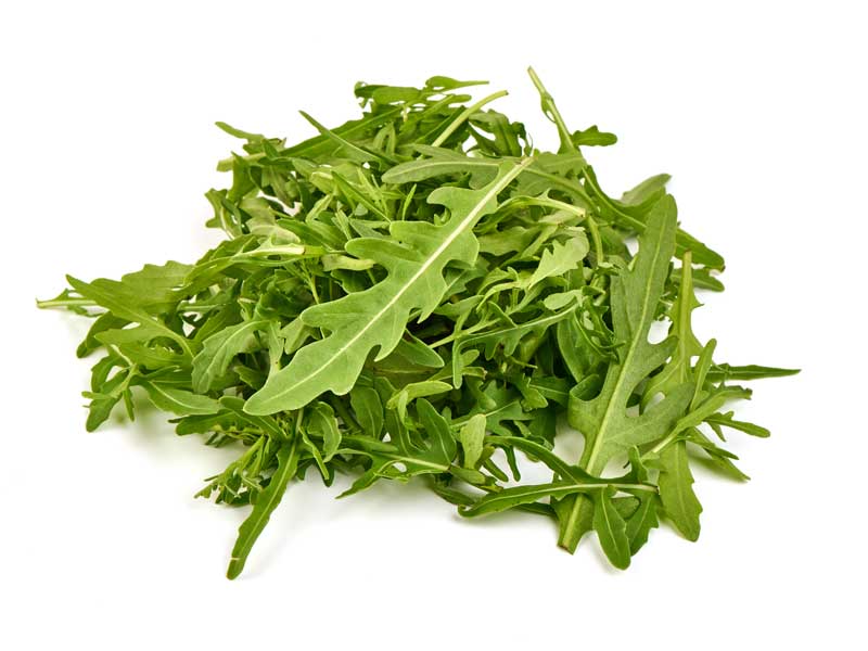 Rocket Seeds